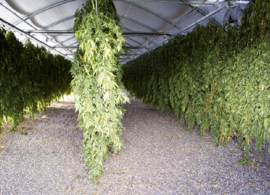 Product page- Daytime (1) copy 2