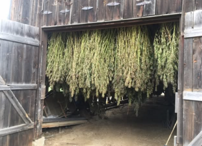 Product page- Daytime (1) copy 3